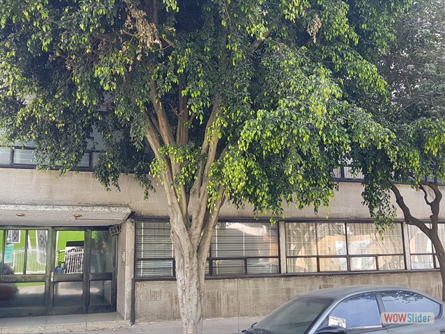 Fachada