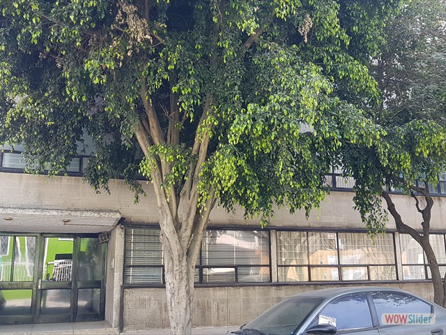 Fachada 02