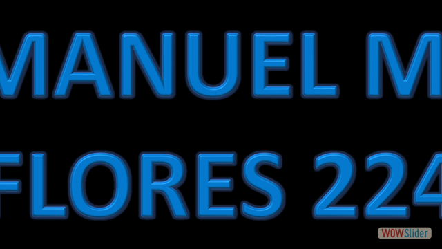 MANUEL M. FLORES 224